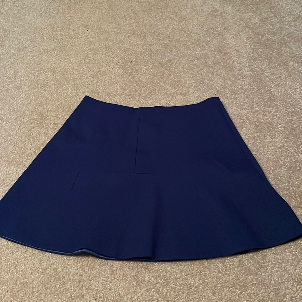 J. Crew Blue Skirt